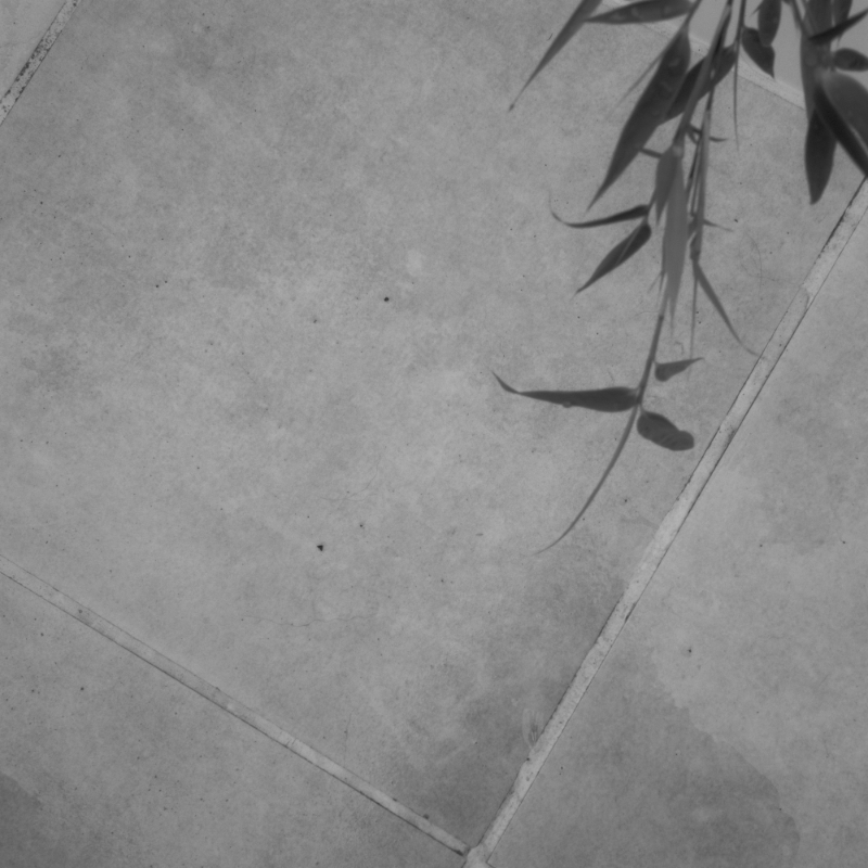Description de l'image 2
